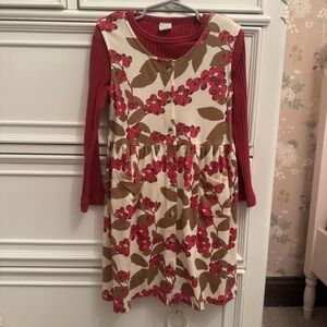 Kate Quinn Cranberry Jumper Dress & Shirt